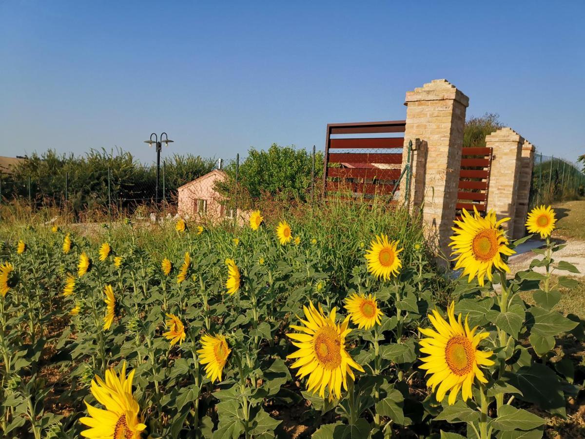 B&B Ceresa - Country House Loreto Exterior foto